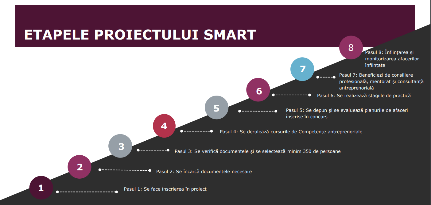 etapele proiectului smart